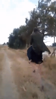 Bạn đã thử chưa.