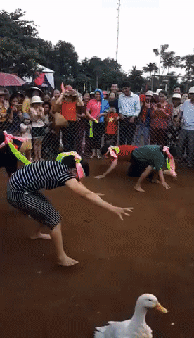 Phần thưởng đây rồi