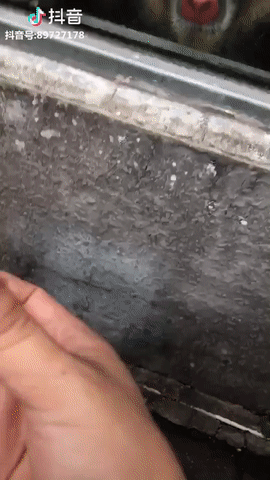 Đưa lên trên biết chưa?