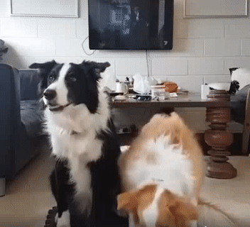 Chụp ảnh gia đình nào.