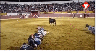 Trò chơi đồng đội căng thẳng nhất.