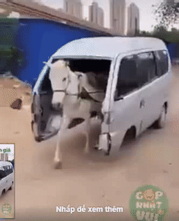 Sợ gì mưa gió. Sợ gì mưa gió.