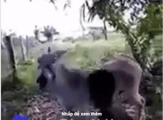 Đã hỏi tôi chưa. Đã hỏi tôi chưa.