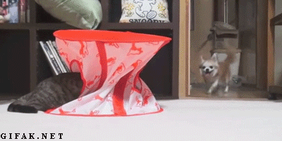 Hết hồn. Hết hồn.