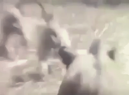 Đi nhờ tý thôi mà. Đi nhờ tý thôi mà.