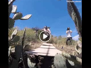 Cách giảm béo nhà người ta