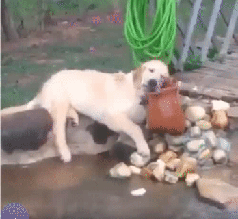 Khi bạn quá nhàn chán. Khi bạn quá nhàn chán.