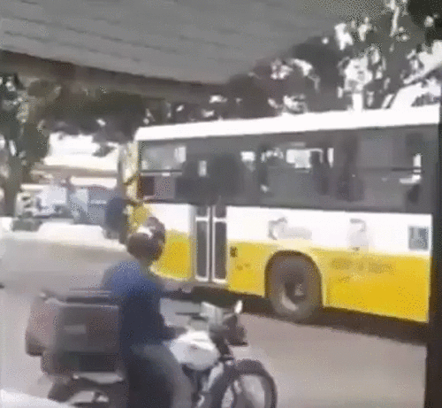 Người nhện phiên bản đời thật. Người nhện phiên bản đời thật.