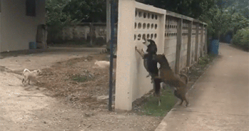 Cuộc chiến của những anh hùng rơm. 10-anh-hai-hot-nhat-facebook-trong-ngay-9