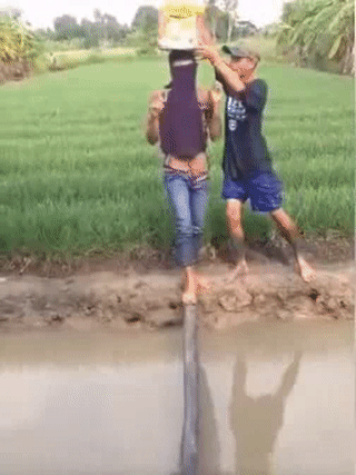 Bạn có dám thử