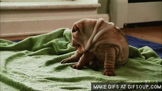 Trời bên kia còn sót miếng đồ ăn, chạy lẹ để con sen nó giành mất.