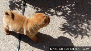 Tập thể dục một chút cho khỏi béo phì nè.