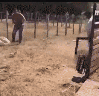 Rất đẳng cấp.