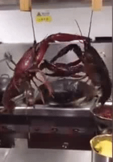 Vẫn còn tranh giành hả.