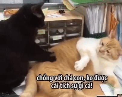 Ai có vợ bầu mới hiểu.