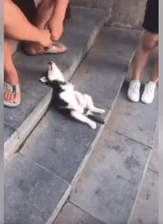 Dáng ngủ gì đây.