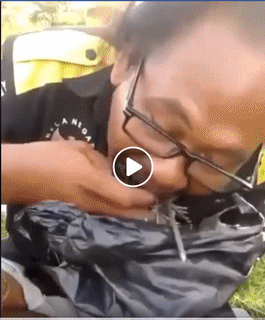 Nhìn anh ăn đã thấy ngon rồi.