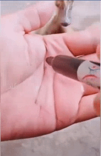 Vậy mà cũng ăn được sao.