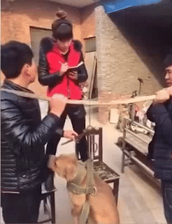 Bao nhiêu kg đấy anh. Bao nhiêu kg đấy anh.