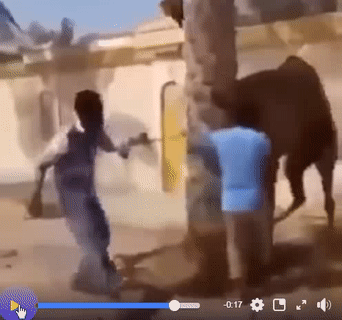 Để cho tôi yên.