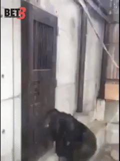 Khi ở nhà một mình cảm thấy quá cô đơn.