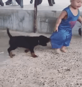 Trả cái tô cho tôi.