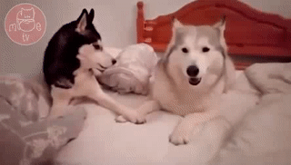 Hôm qua anh đi chơi với ai