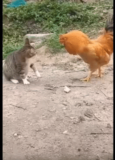 Đừng có bắt nạt người khác thế chứ. Đừng có bắt nạt người khác thế chứ.