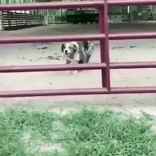 Cũng rất có nghề. Cũng rất có nghề.