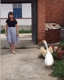 Nhà không có chó đâu em cứ vào đi. Nhà không có chó đâu em cứ vào đi.