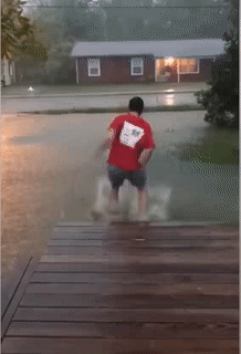 Có những ngày không vui như thế. Có những ngày không vui như thế.