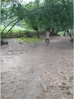 Xem tôi đây. Xem tôi đây.