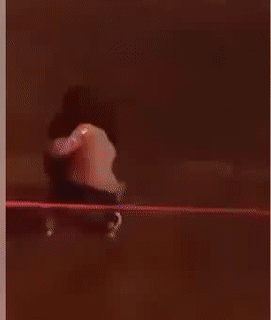 Sao bảo em nhẹ lắm. Sao bảo em nhẹ lắm.