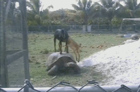 Chỉ có một chỗ thôi. Chỉ có một chỗ thôi.