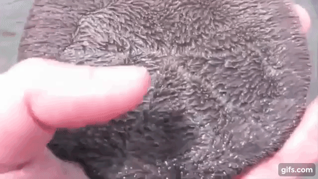 Tưởng cục đá đen sì trên bờ biển, cô gái cầm lật lên mới tá hoả vì đây là... - Ảnh 3.