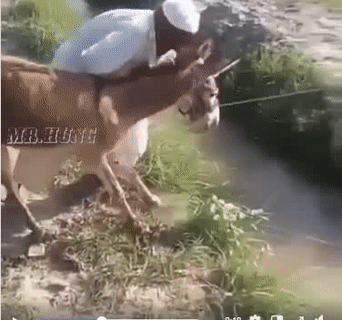 Nhảy nhẹ cái là qua thôi mà. Nhảy nhẹ cái là qua thôi mà.