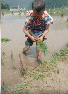 Tối của 40 năm trước. Tối của 40 năm trước.