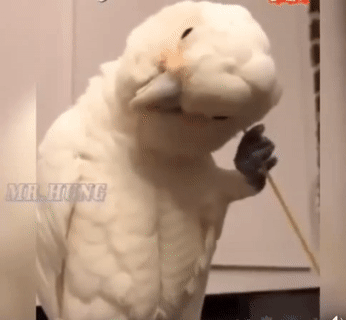 Ngứa quá đi thôi. Ngứa quá đi thôi.