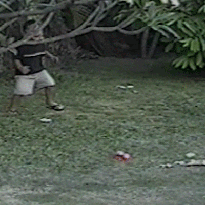 Mình nhẹ lắm mà.