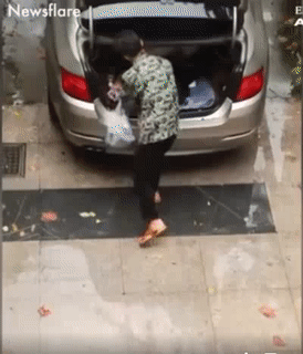 Đúng là đen đủ đường.