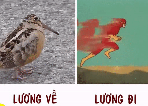 Định luật lương