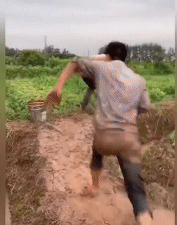 Lớn rồi còn nghịch.