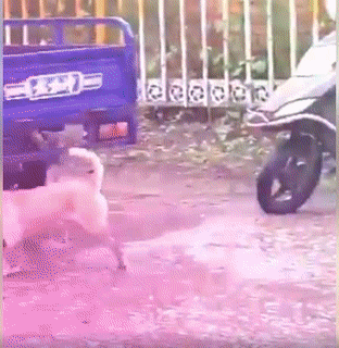 Mưa quá thì phải làm gì?