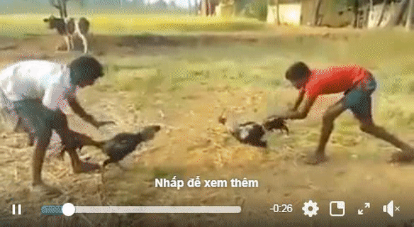 Nhầm đối thủ rồi.