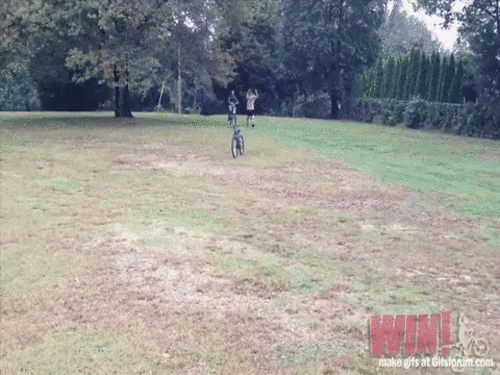 Đỗ xe siêu chuẩn. Đỗ xe siêu chuẩn.