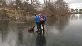 Khoảnh khắc tuyệt đẹp của những người hùng xả thân cứu sống các con vật nhỏ bé ảnh 5 Khoảnh khắc tuyệt đẹp của những người hùng xả thân cứu sống các con vật nhỏ bé ảnh 5