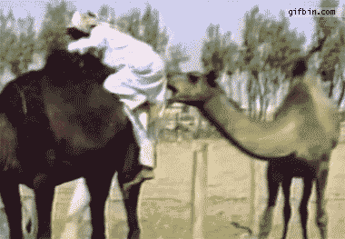 Xuống ngay, hỏi ai chưa.