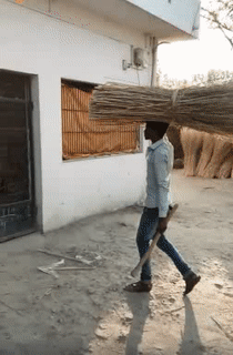 Cái cửa hôm nay sao vậy.