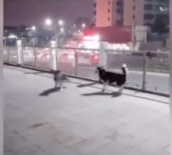 Khi thấy bạn ấy ưng quá đi