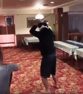 Đỉnh cao của võ thuật.